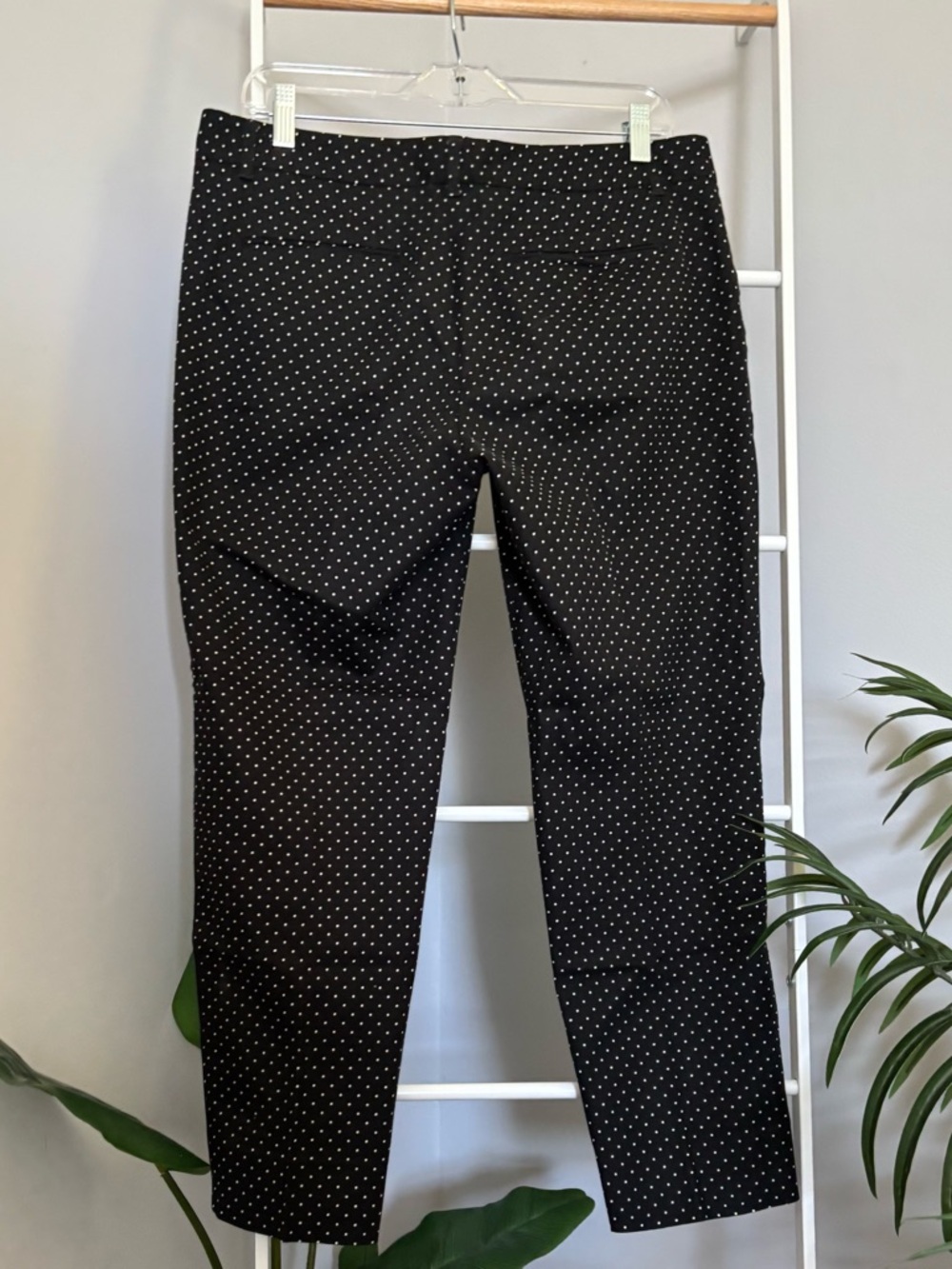 Dolce & Gabbana Black Polka Dot Pants - Picture 10 of 16